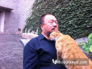 ai-weiwei-withhis40cats